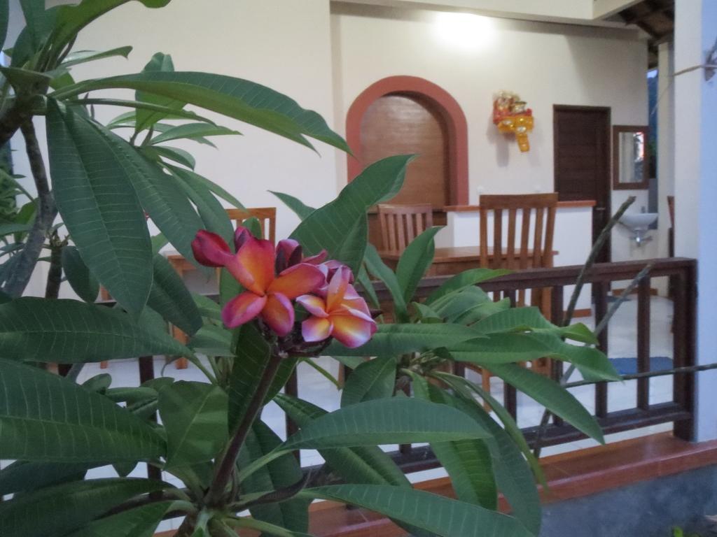 Mesari Homestay & Warung Amed Værelse billede