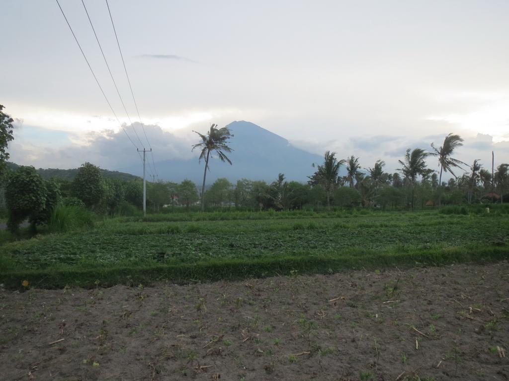 Mesari Homestay & Warung Amed Eksteriør billede